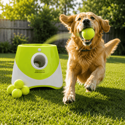 FetchMate™ Automatic Ball Launcher